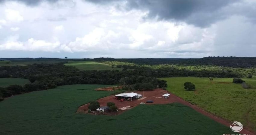 FAZENDA LINDÍSSIMA COM ÓTIMA ESTRUTURA EM PRIMAVERA DO LESTE/MT