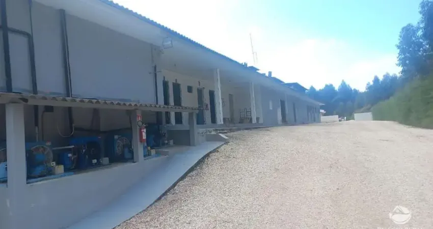 Fazenda à venda no Jardim do Leste, Londrina 