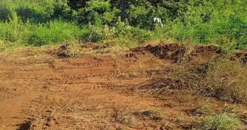 Fazenda à venda no Centro, Barro Alto 