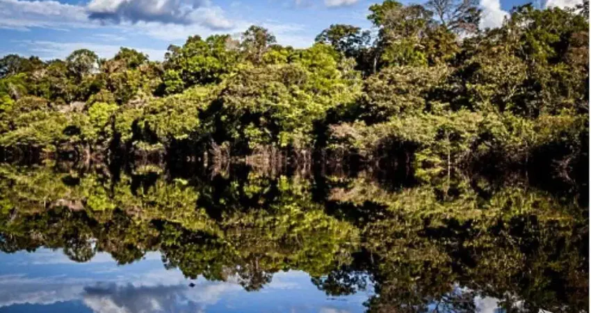Fazenda à venda no Centro, Manicoré 