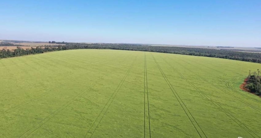 Fazenda à venda no Centro, Sete Quedas 