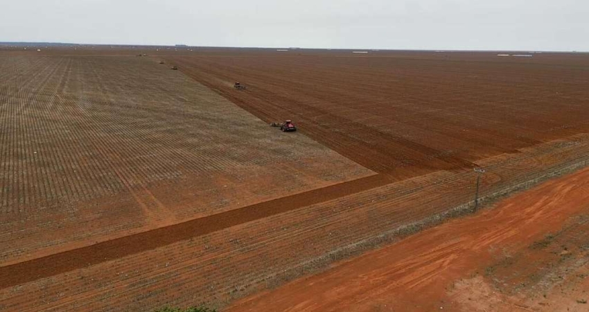 FAZENDA COM ÓTIMA ESTRUTURA EM CAMPO NOVO DO PERECIS/MT