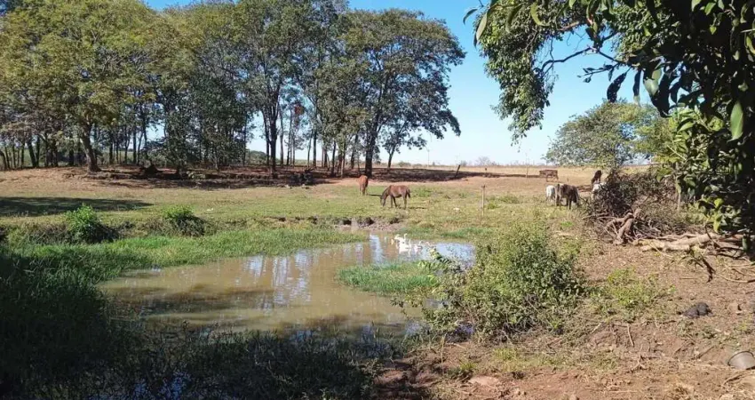 Fazenda à venda no Centro, Miguelópolis 