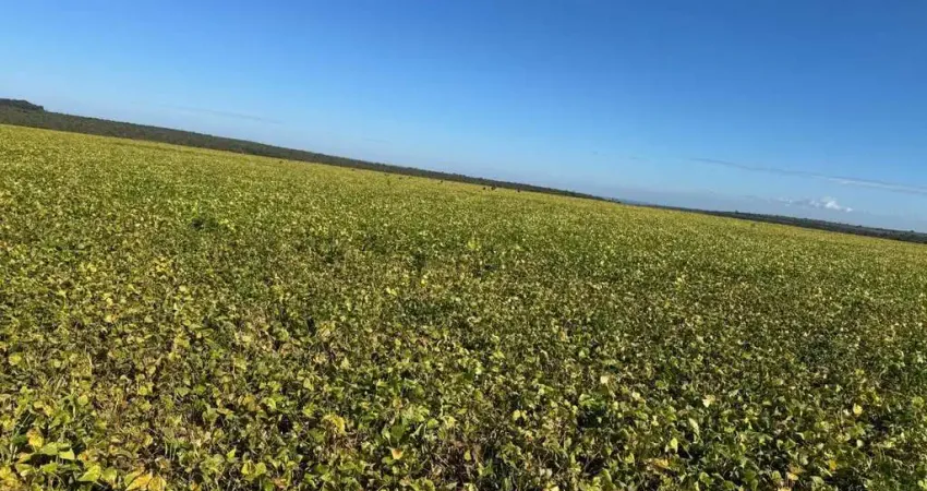 Fazenda à venda no Centro, João Pinheiro 