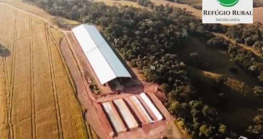 Fazenda à venda no Centro, Caxambu 