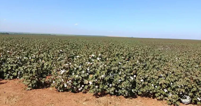 Fazenda à venda no Centro, Jaciara 