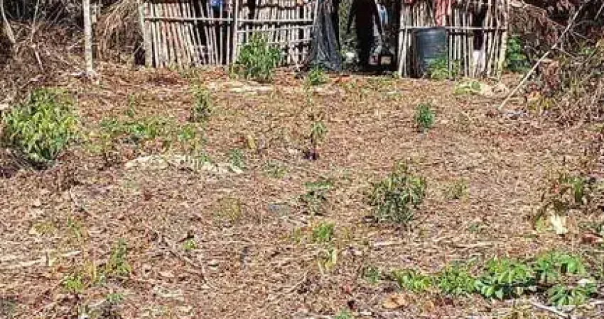 Fazenda à venda no Centro, Tesouro 