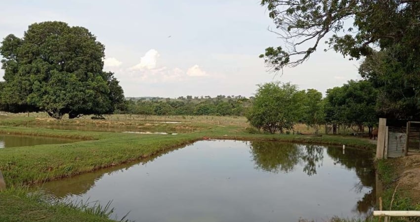 Fazenda à venda no Centro, Tesouro 