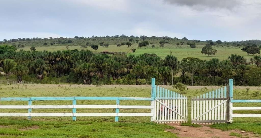 FAZENDA INCRÍVEL EM MINAÇU/GO