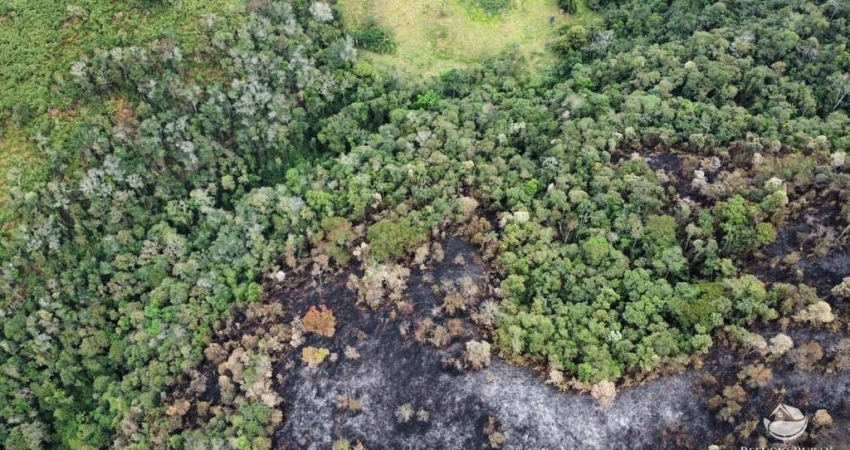 Terreno à venda em São Francisco Xavier, São José dos Campos 