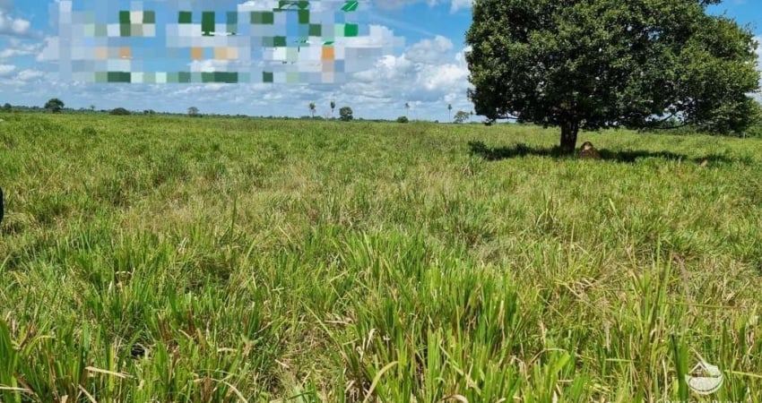 FAZENDA INCRÍVEL COM ÓTIMA ESTRUTURA NO SUL DO PARÁ