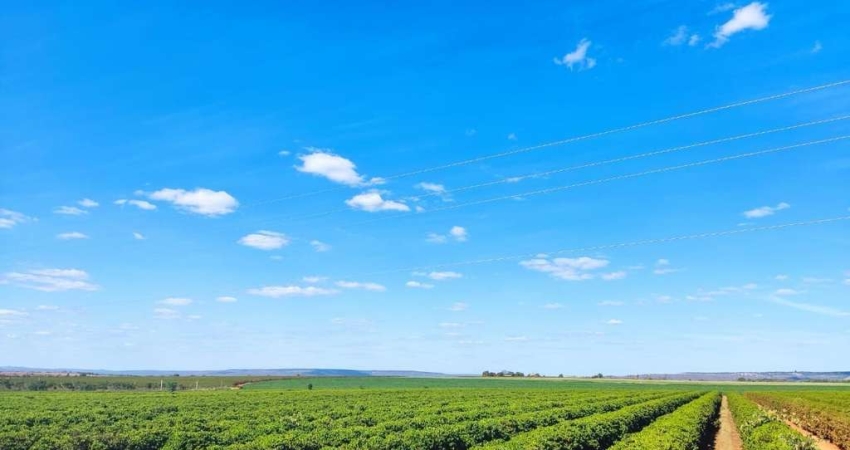 Fazenda à venda no Major Porto, Patos de Minas 