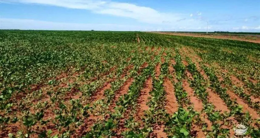 Fazenda à venda no Centro, Paranatinga 