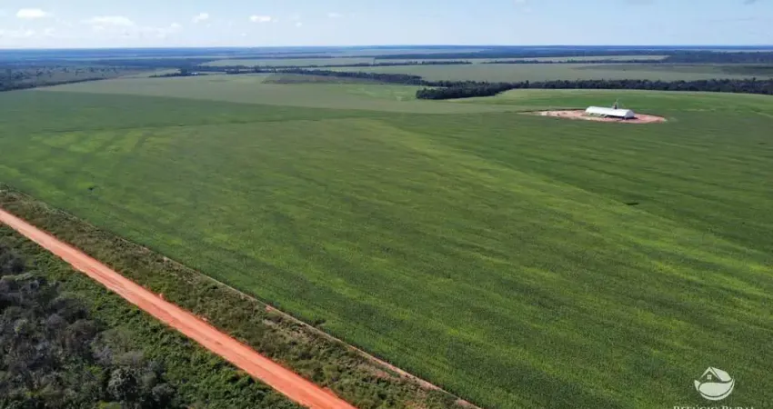Fazenda à venda no Centro, Marcelândia 