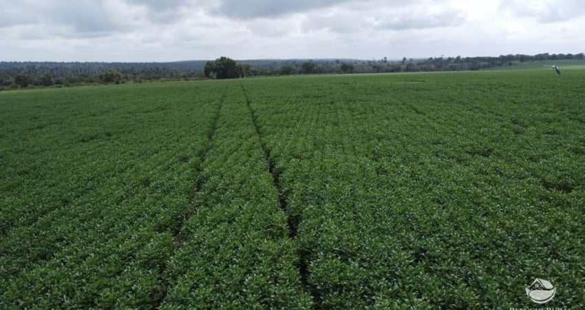 FAZENDA IMPERDÍVEL EM ARAGUAÍNA/TO
