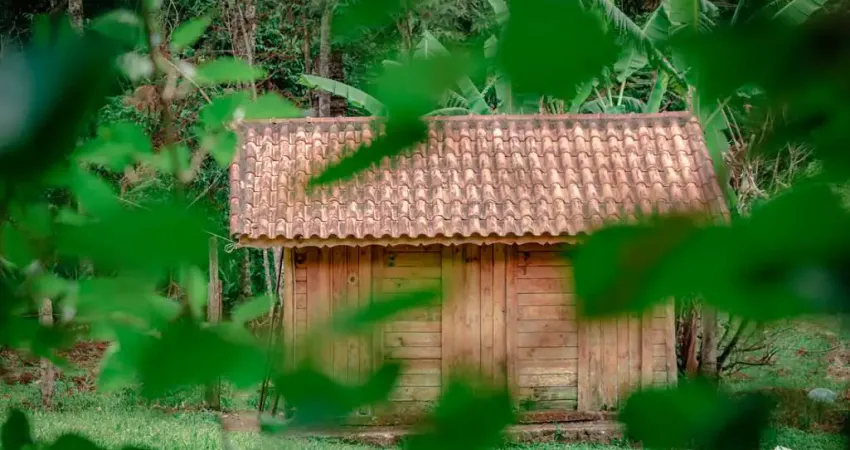 Chácara / sítio com 6 quartos à venda no Centro, Sapucaí-Mirim 