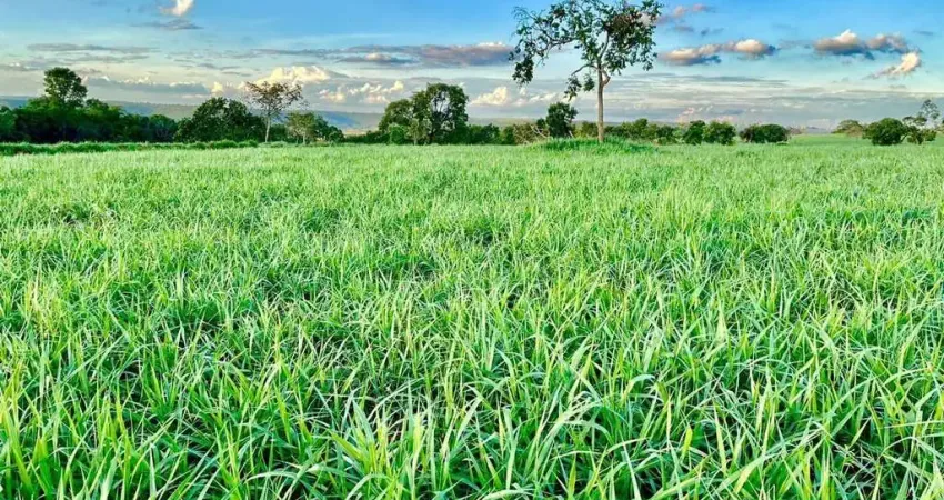 Fazenda à venda no Centro, Campina Verde 