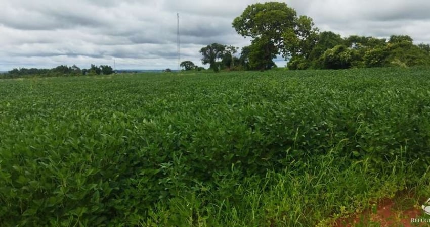 Fazenda à venda no Centro, Frutal 