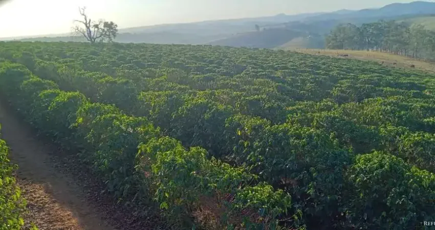 Fazenda à venda no Centro, Monte Belo