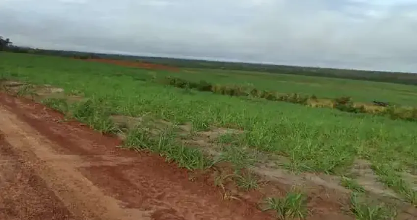 FAZENDA EXCELENTE COM ÓTIMA ESTRUTURA LOCALIZADA EM CENTENÁRIO/TO