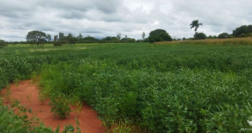 SÍTIO EM FRUTAL/MG - EXCELENTE OPORTUNIDADE DE INVESTIMENTO!