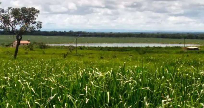 Fazenda à venda no Centro, Paracatu 