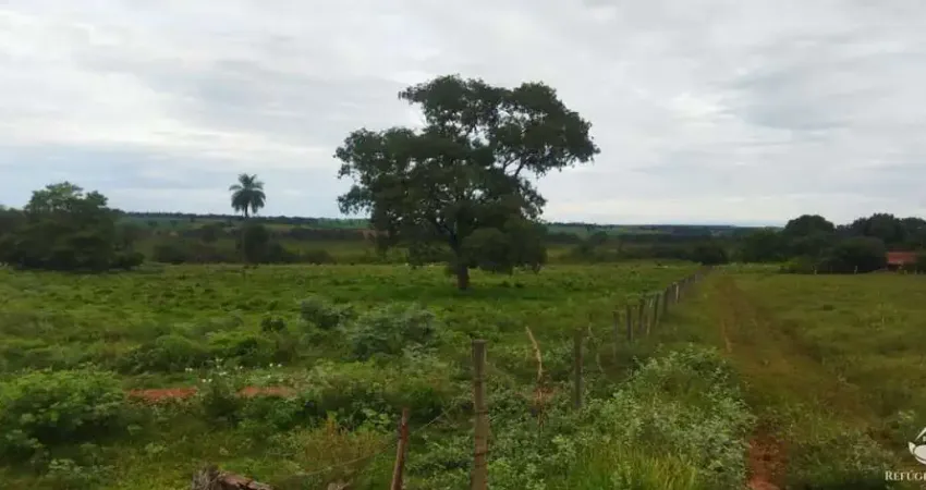 Fazenda à venda no Centro, Fronteira 