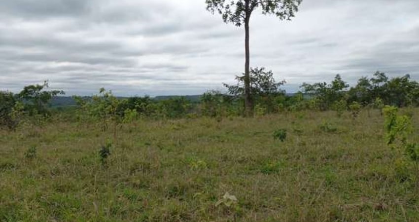 FAZENDA INCRÍVEL EM CAMAPUÃ/MS - EXCELENTE OPORTUNIDADE DE INVESTIMENTO!