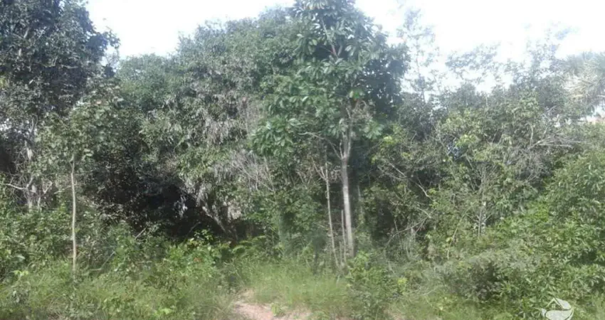 Fazenda à venda no Setor Central, Lizarda 