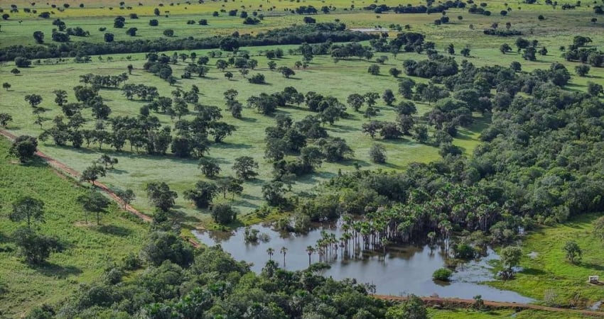 FAZENDA EXCELENTE COM ÓTIMA INFRAESTRUTURA EM RIBAS DO RIO PARDO/MS
