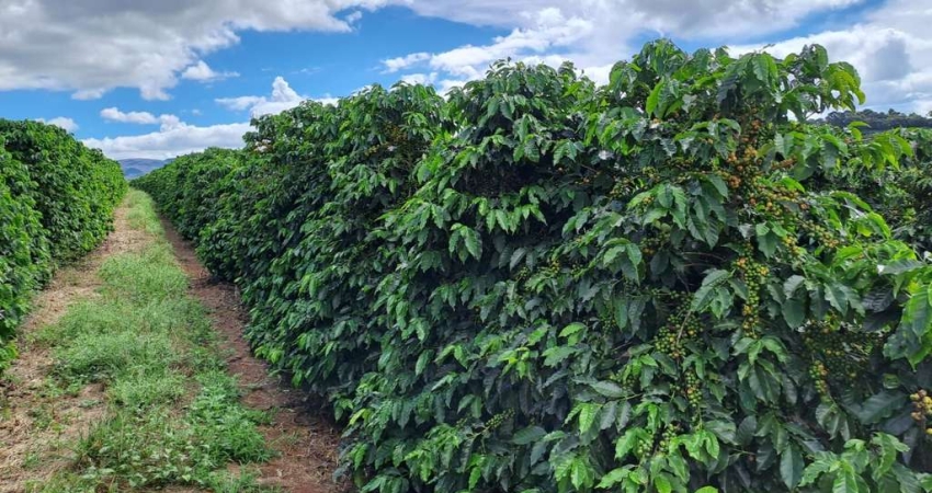 FAZENDA DE CAFÉ COM EXCELENTE INFRAESTRUTURA EM VARGEM BONITA/MG