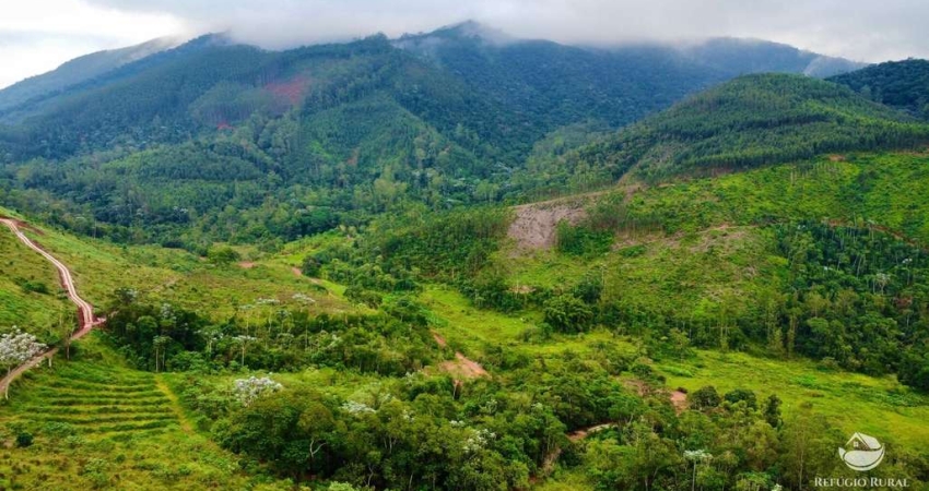 Terreno à venda no Centro, Monteiro Lobato 