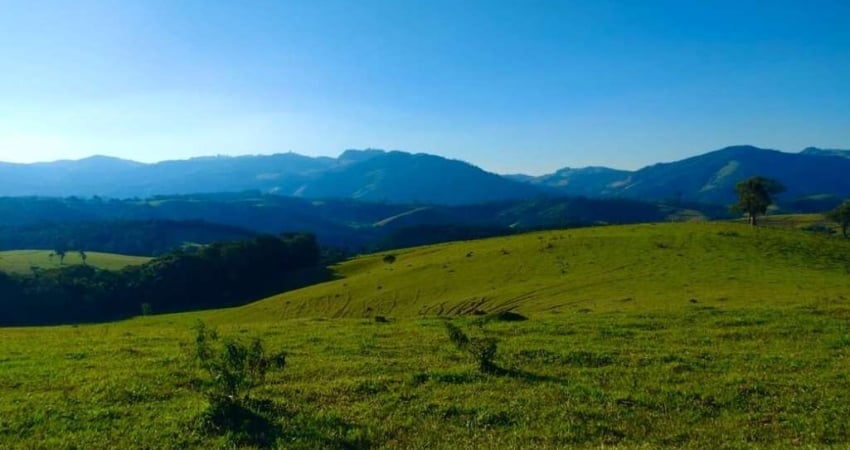 FAZENDA INCRÍVEL EM OURO FINO/ MG - EXCELENTE OPORTUNIDADE DE INVESTIMENTO!