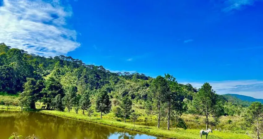 FAZENDA CHARMOSA COM VISTA DESLUMBRANTE EM JOANÓPOLIS/SP