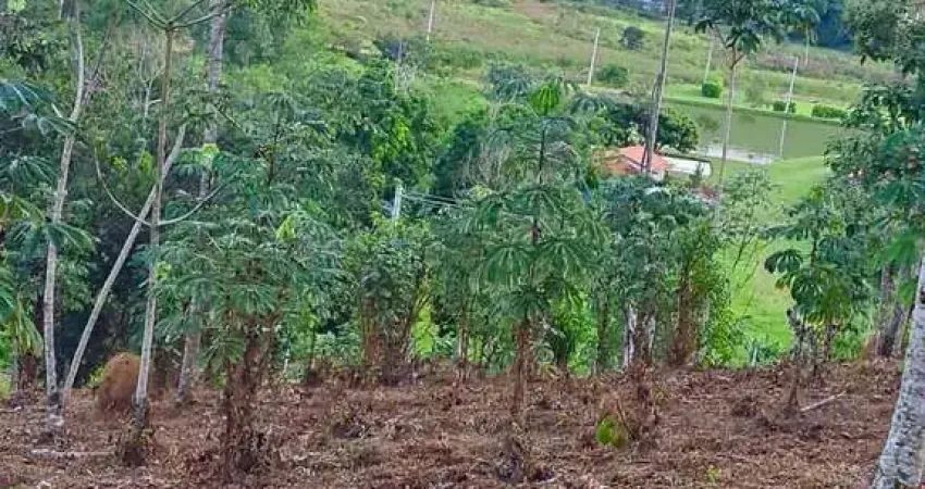 Terreno à venda no Centro, Monteiro Lobato
