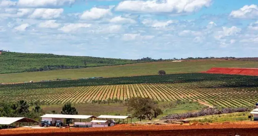 Fazenda à venda no Centro, Augusto de Lima 
