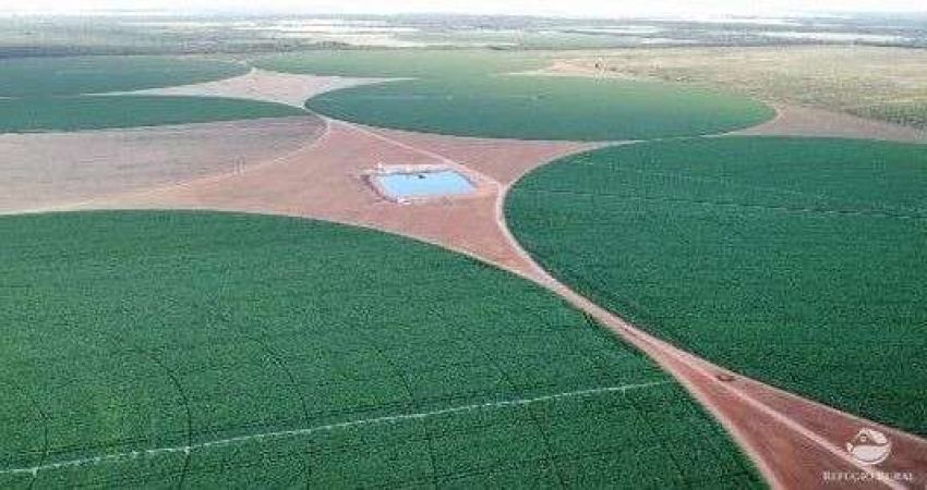 FAZENDA IMPERDÍVEL COM EXCELENTE INFRAESTRUTURA EM PARACATU/MG
