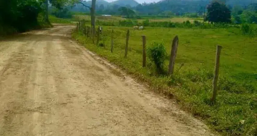 Fazenda à venda no Centro, Arapeí