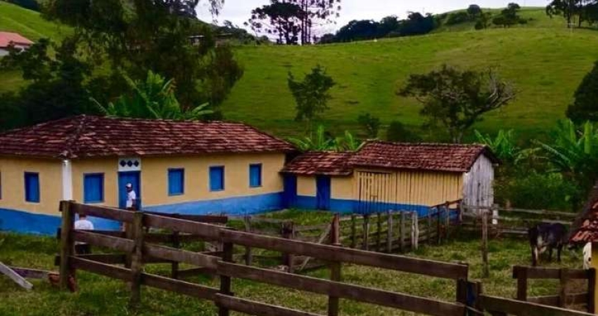 SÍTIO ENCANTADOR COM CACHOEIRAS, PISCINAS NATURAIS E NASCENTE EM CUNHA/SP