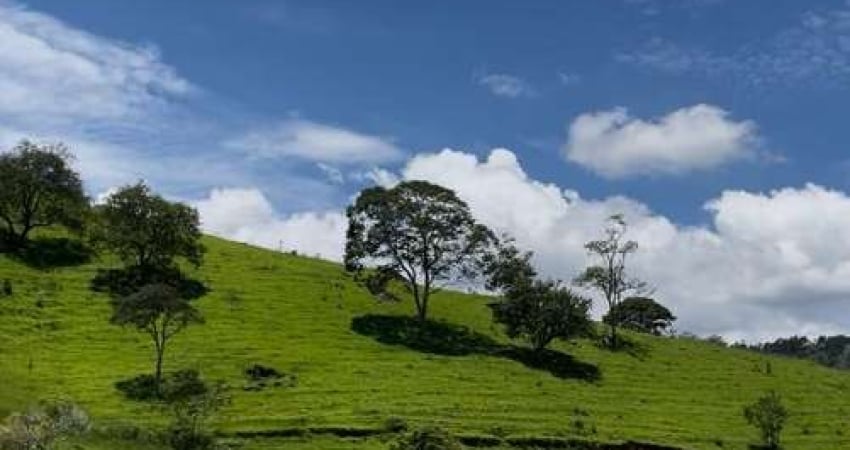TERRENO INCRÍVEL NO CORAÇÃO DA SERRA DA MANTIQUEIRA
