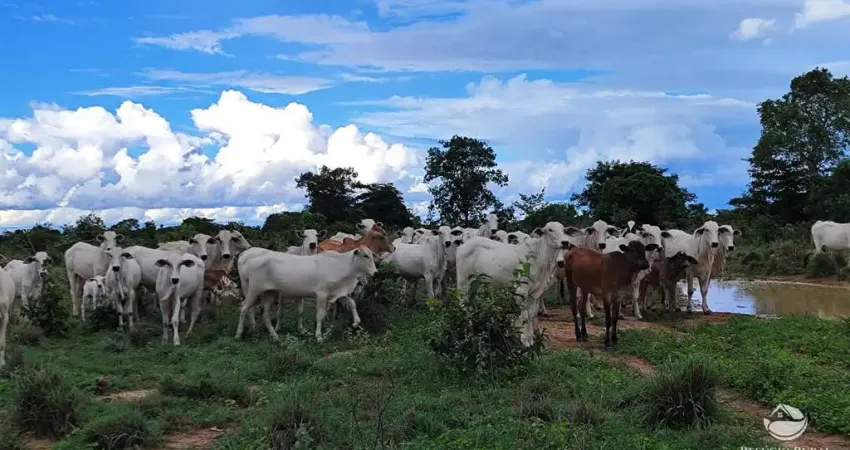 Fazenda à venda no Setor Central, Alvorada 