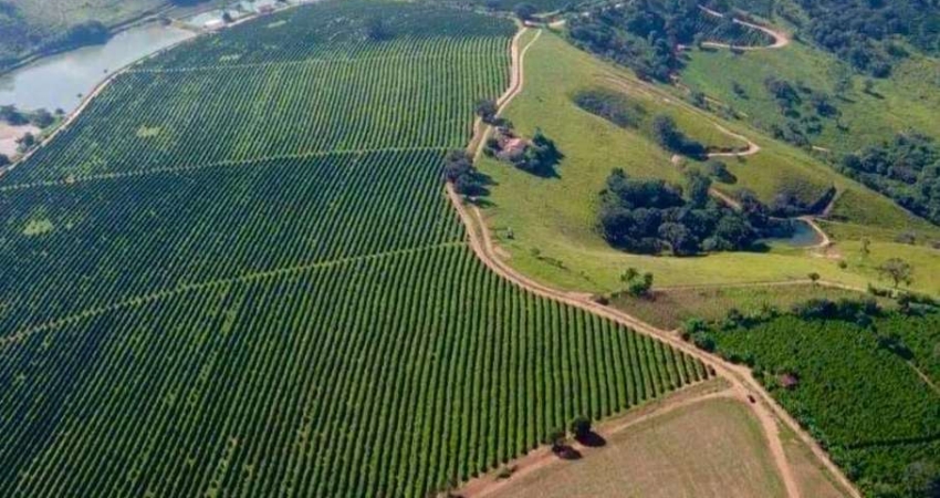 FAZENDA ESPETACULAR À VENDA NA REGIÃO DE OURO FINO/MG