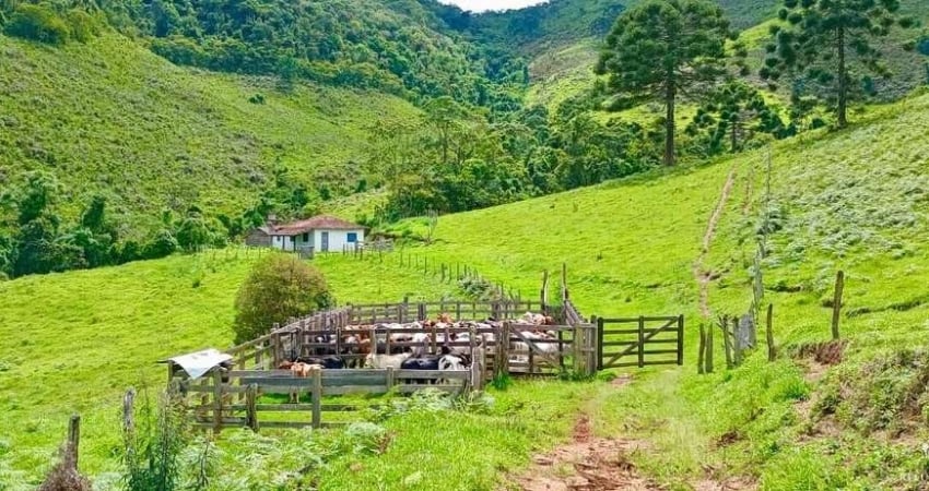 Fazenda à venda no Centro, Cunha 