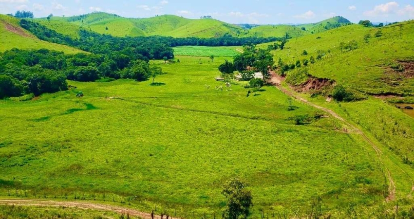 Fazenda à venda no Centro, Cunha 