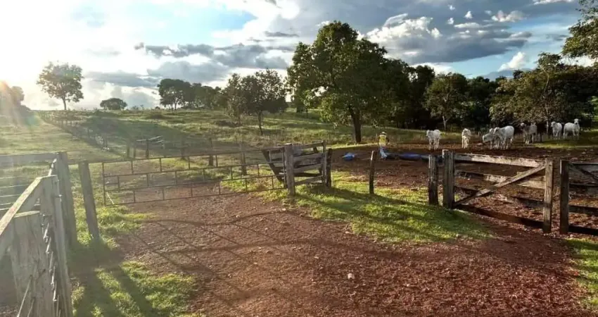 Fazenda à venda no Setor Central, Sandolândia 