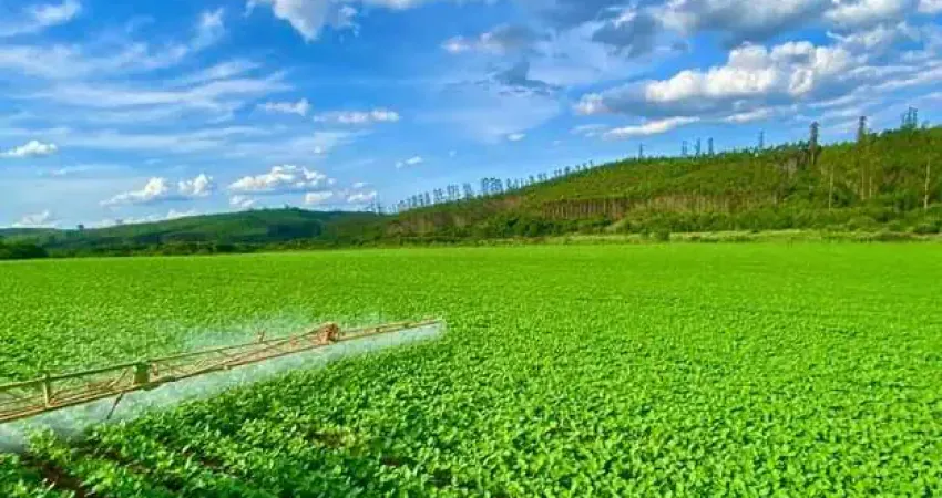 Fazenda à venda no Centro, Ipuiúna 