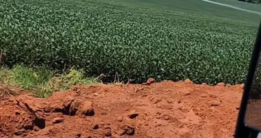 Fazenda à venda no Centro, Tabaporã