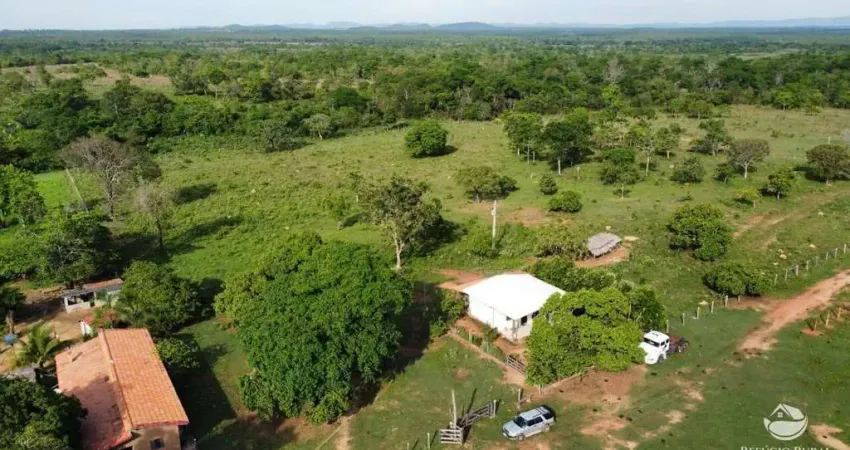 Fazenda à venda no Setor Central, Palmeirópolis