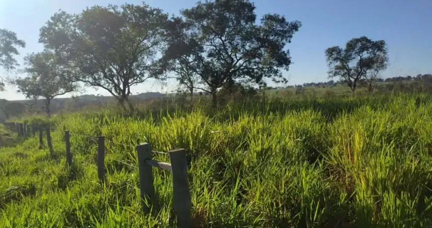 Fazenda à venda no Centro, Pedra Preta 