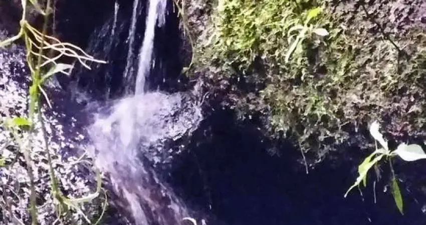 Sítio região bem valorizada em sfx mata preservada e vista lindíssima